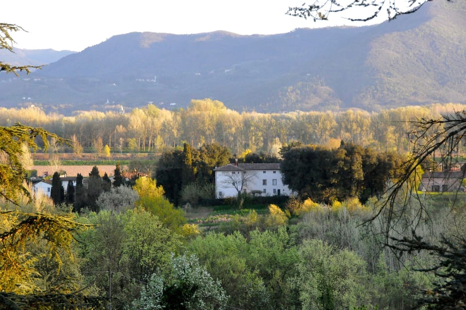 View from the Balcony (looking South)