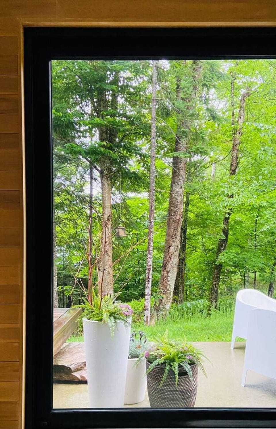 Enjoy clear views of the forest and animals through our large, picture-perfect windows