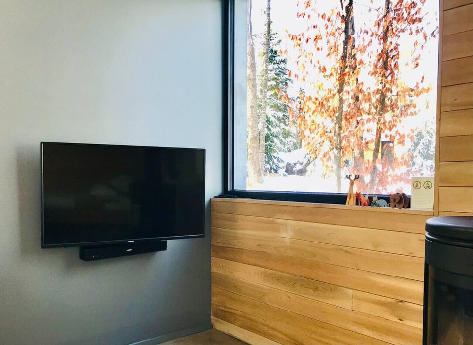 Enjoy unlimited access to Netflix or mirror media on your phone to our 43` TV