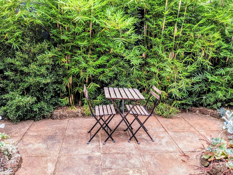 Rear courtyard with outdoor table and chairs