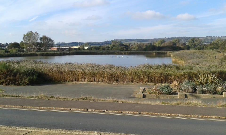 Stop and enjoy the wildlife at the nature reserve on the sea front walk.