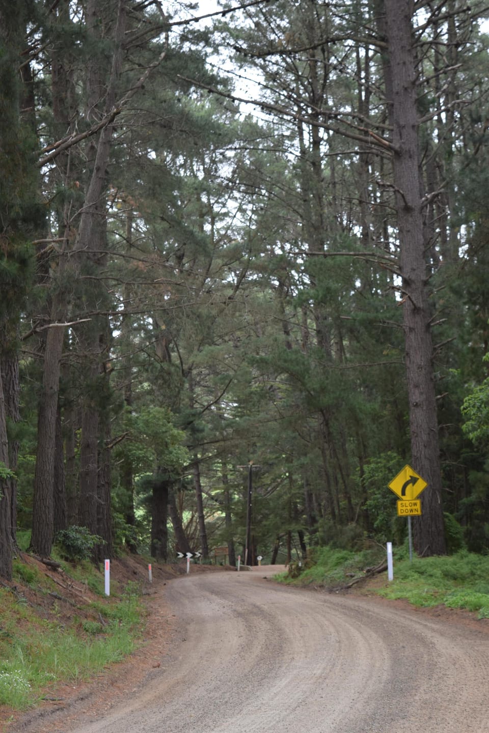 Located on one of the Peninsula's most beautiful and pristine roads