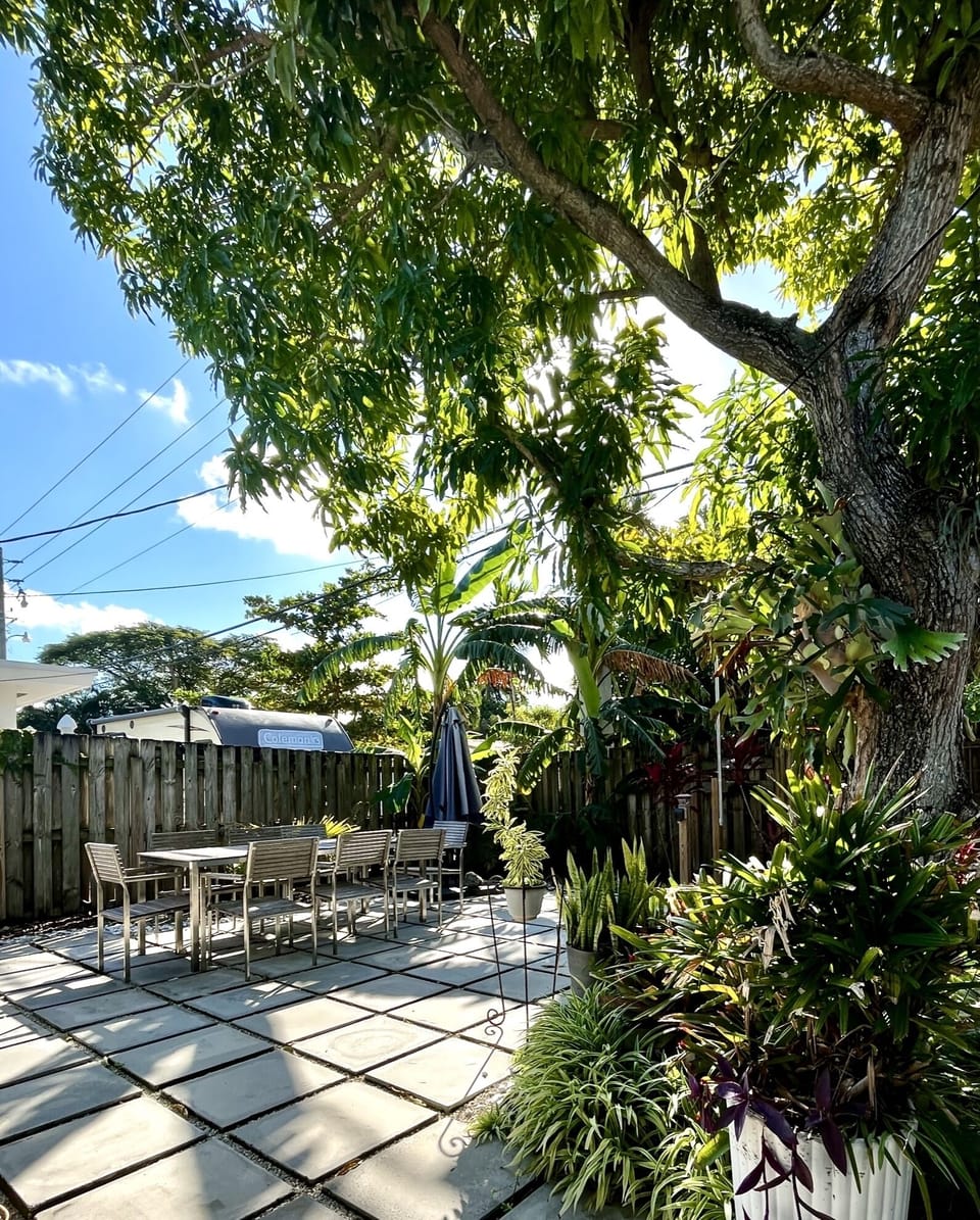 Backyard behind the pool 