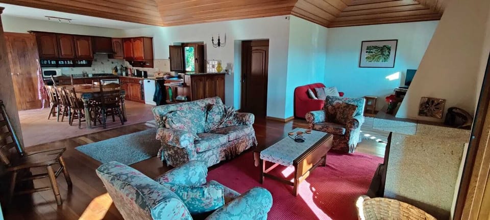 Open-plan living room and kitchen