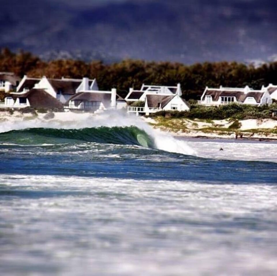 One of the best waves to surf! Right on your doorstep!