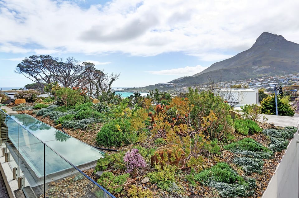 Over look a roof top garden to enjoy sea and mountain views 