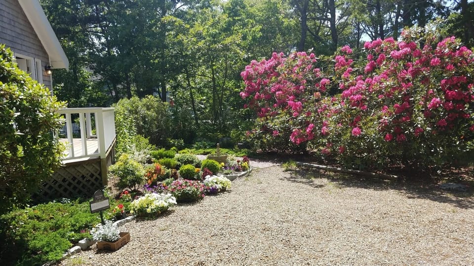 Outdoor grounds and parking area