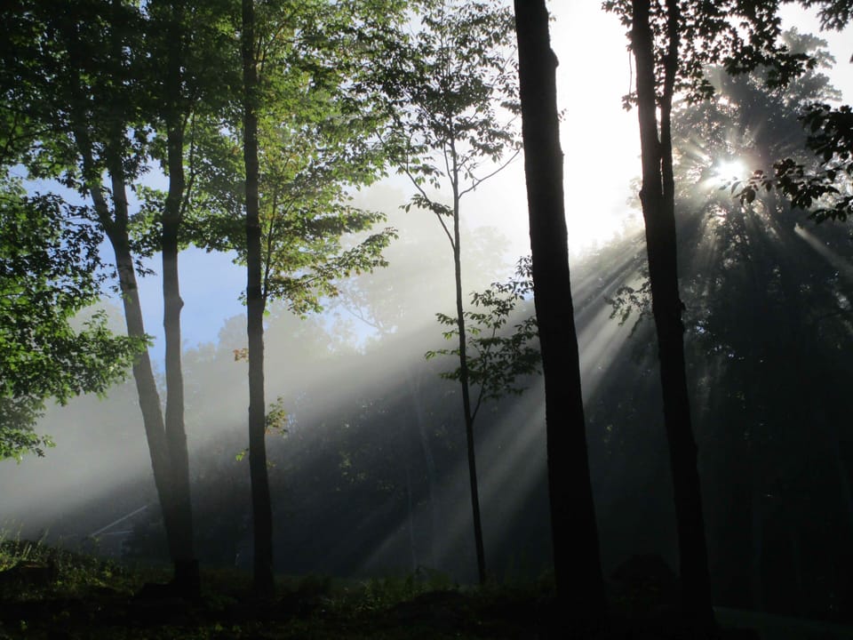 Foggy summer morning in front of the Loft.