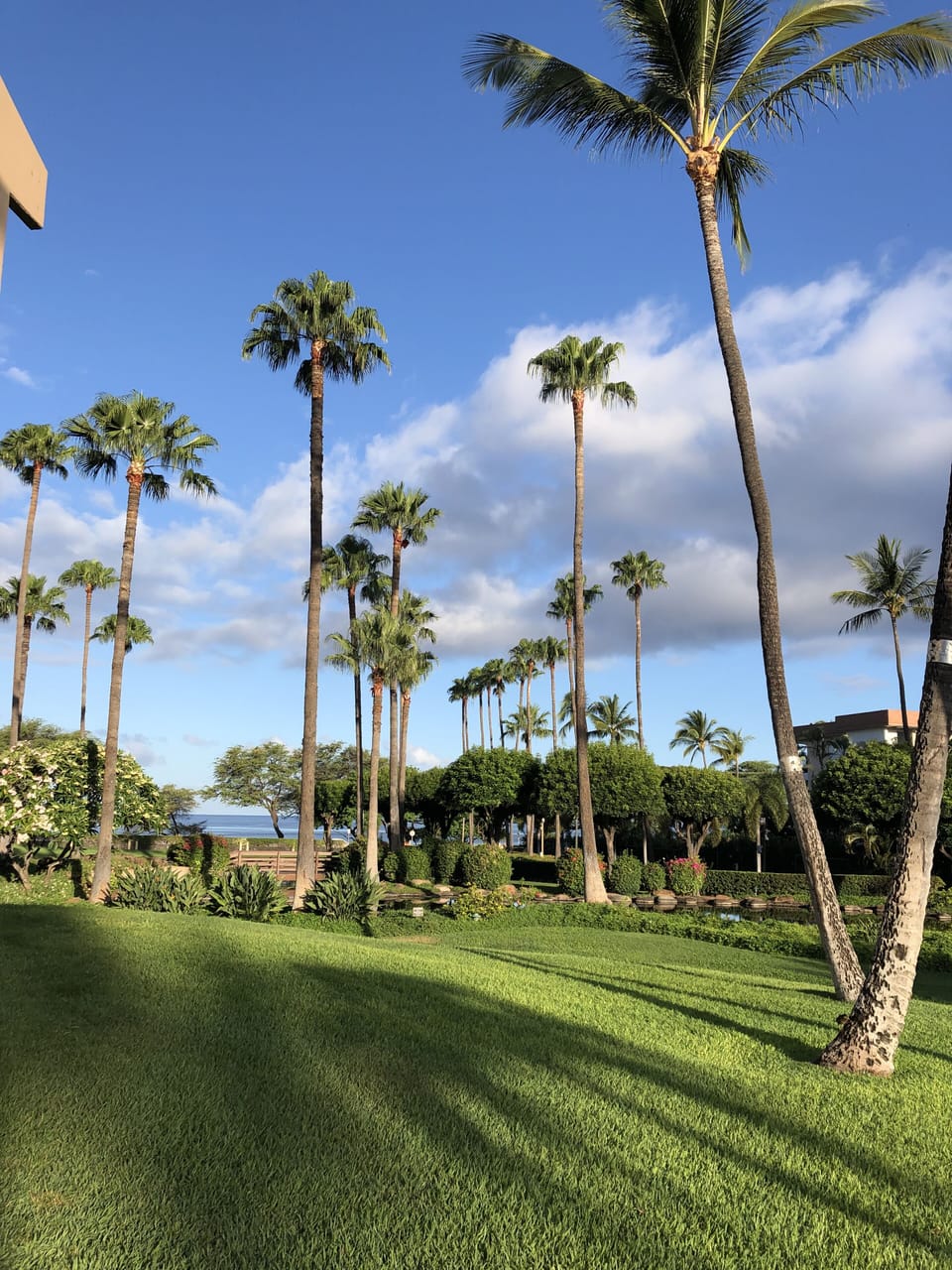 Kamaole Sands grounds