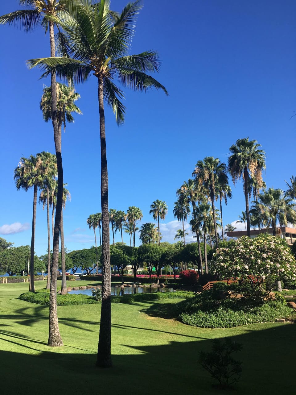 Kamaole Sands grounds
