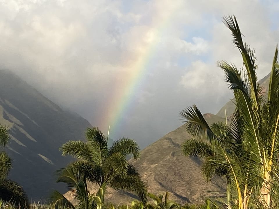 Gorgeous rainbow after a shower