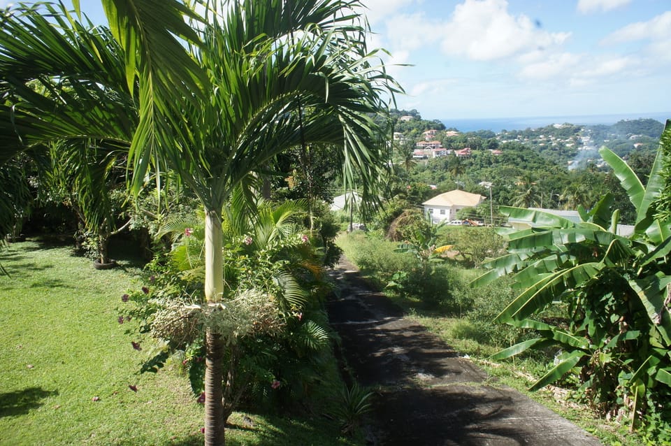 Road to Apartments