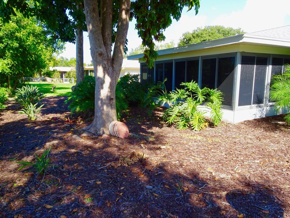 Private back yard