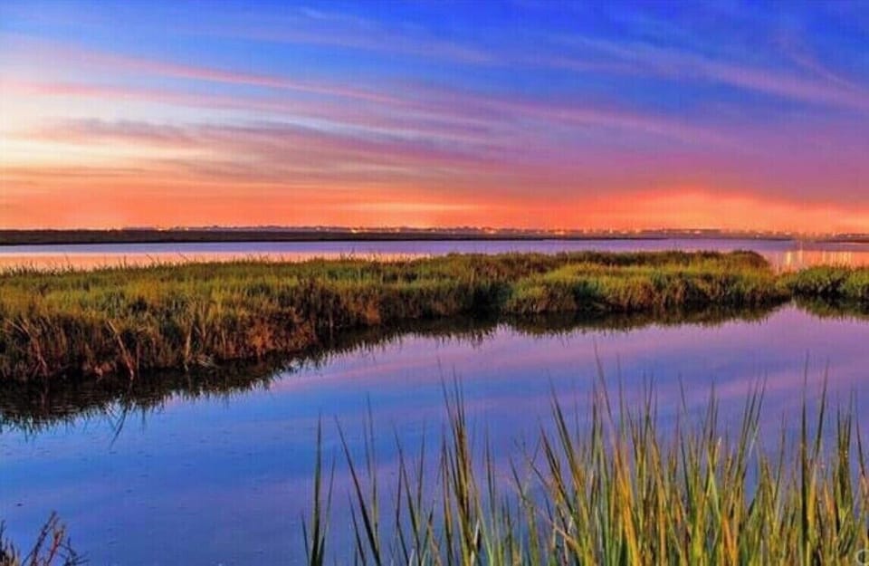 Discover wildlife at Bolsa Chica Wetlands. 