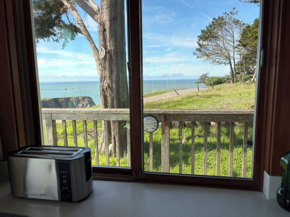 Your view while using stove or toaster: Goat Rock isthmus