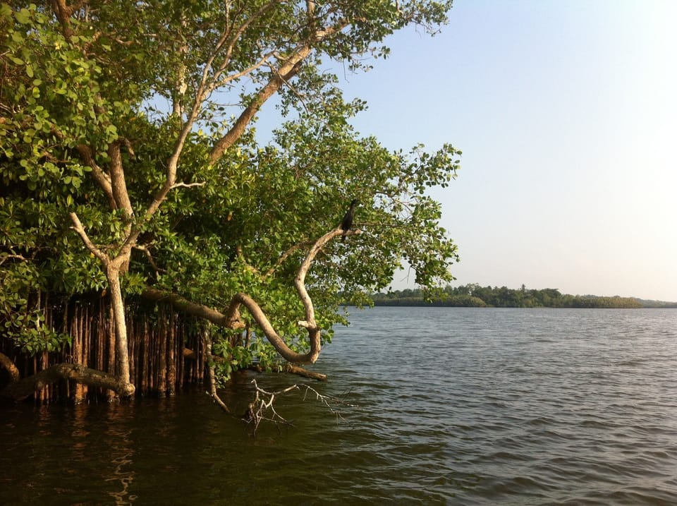 Lake
