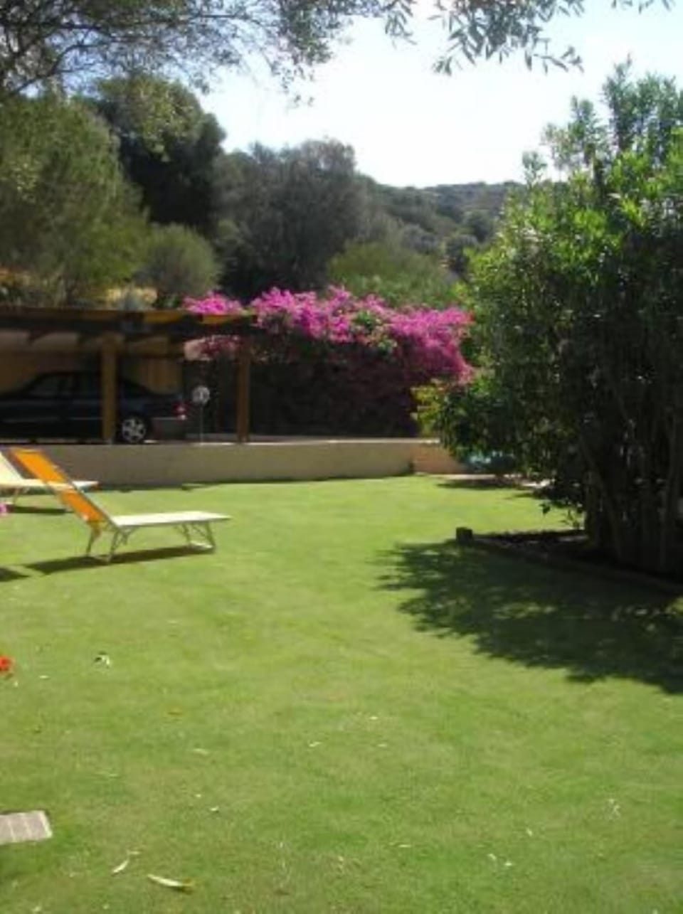 Garden, Park