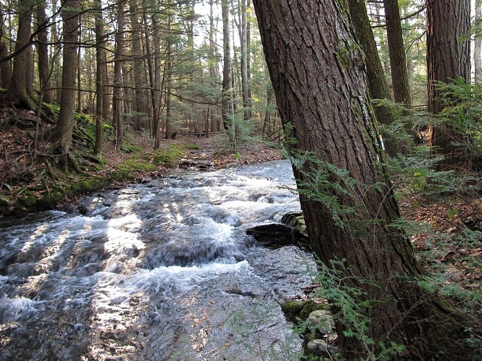 The stream winds all through the property