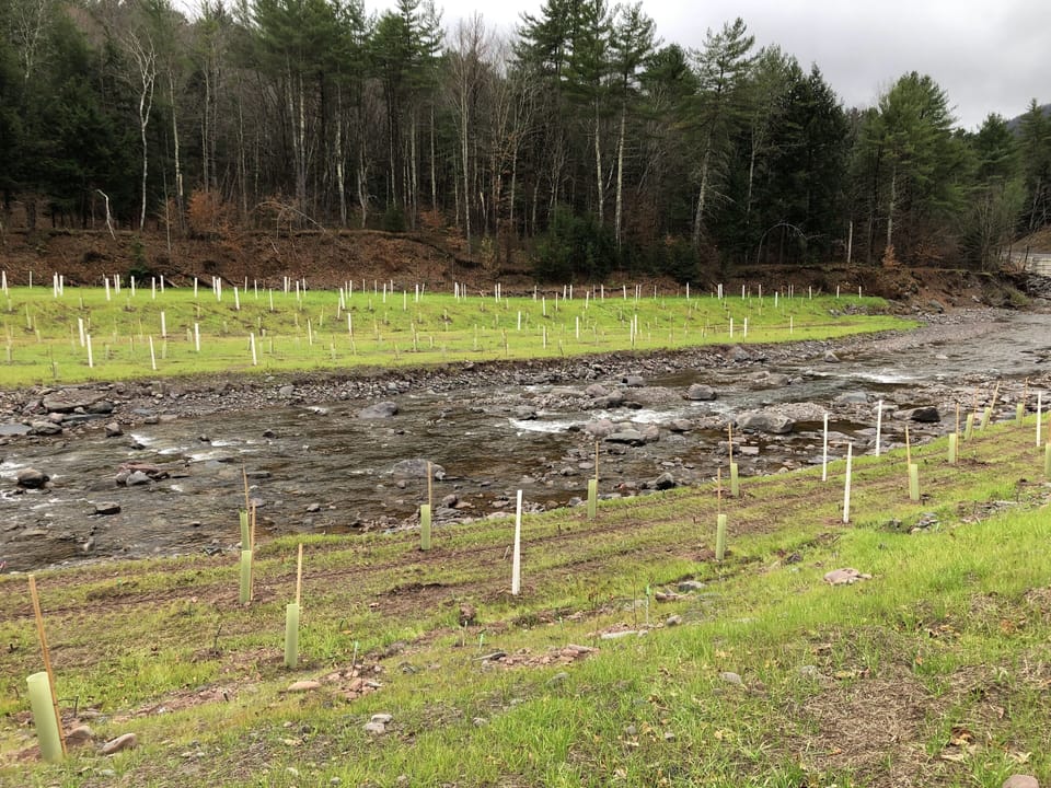 East Kill Creek across the street. Recently rehabbed and re-engineered.