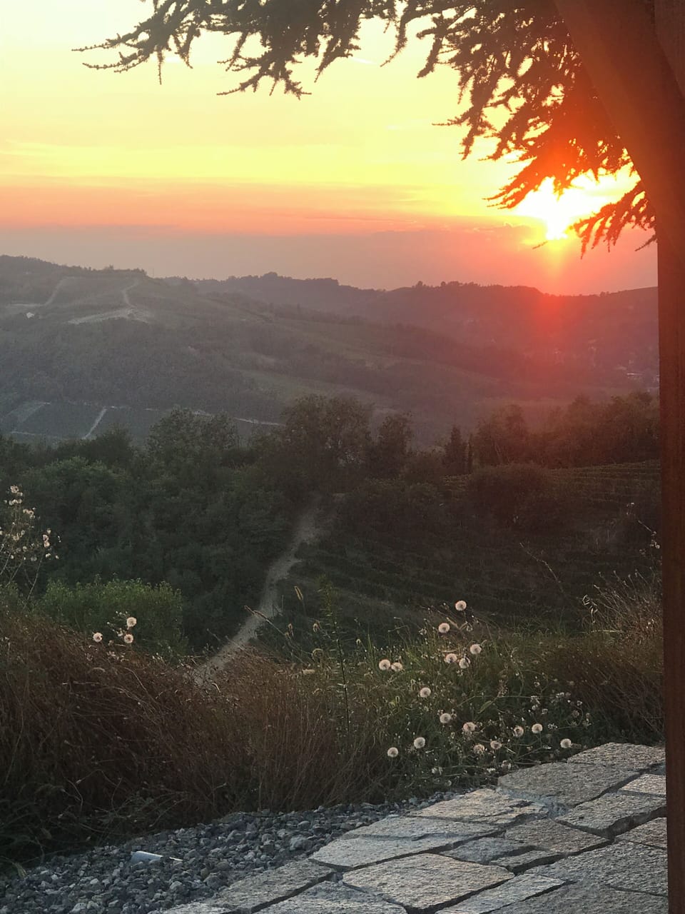 View from property