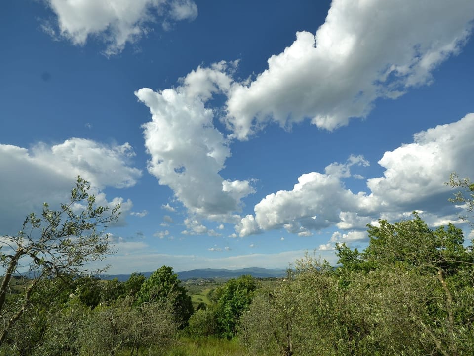 Surroundings [summer] (1-5 km)