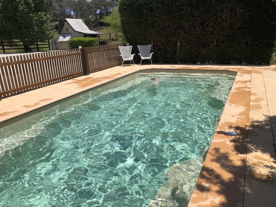 The Pool Area