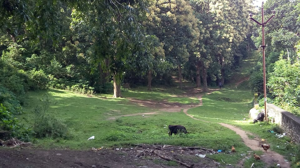Property grounds