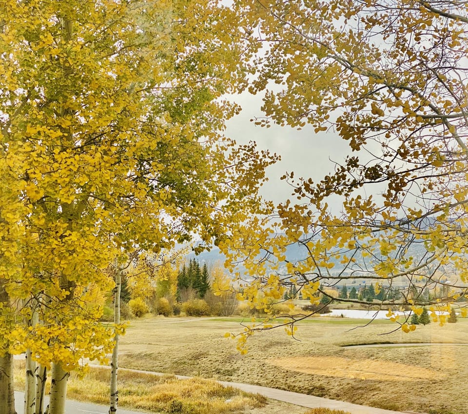 Fall in Vail Valley