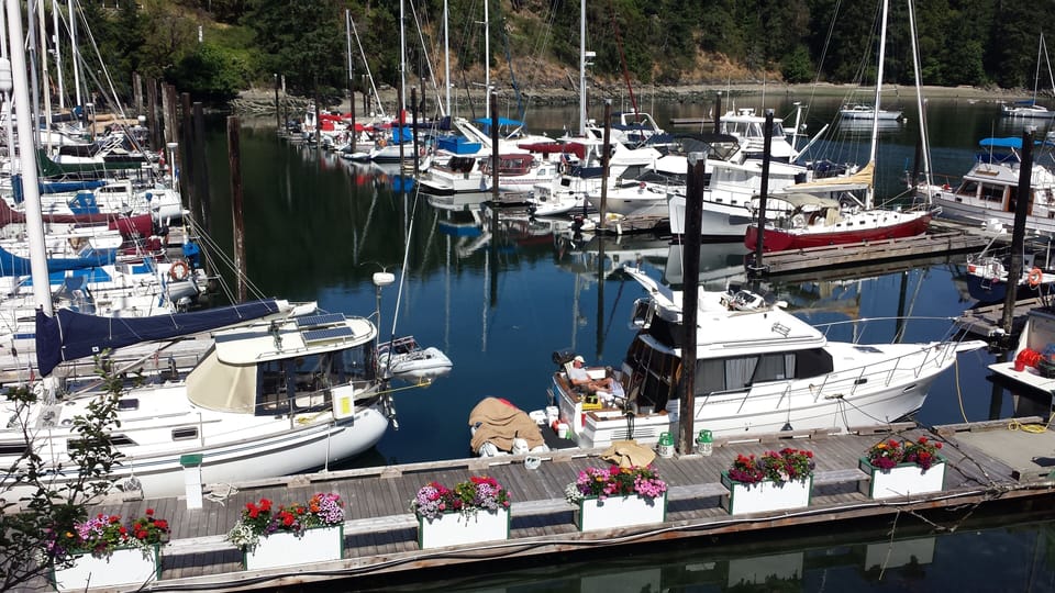 Marina