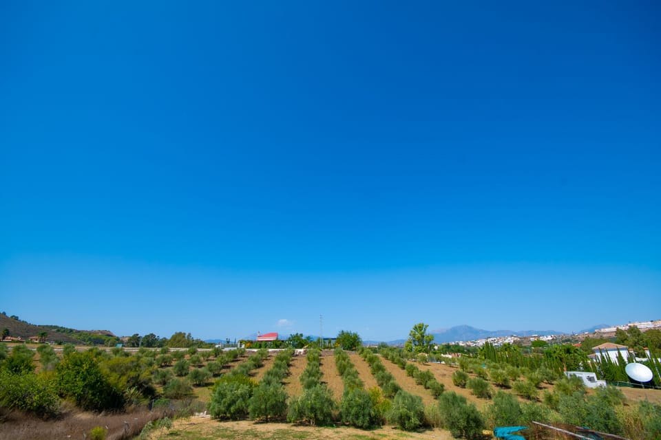 Enjoy the views of this Finca in Alhaurín el Grande