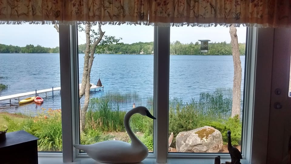 View of lake and great bird watching