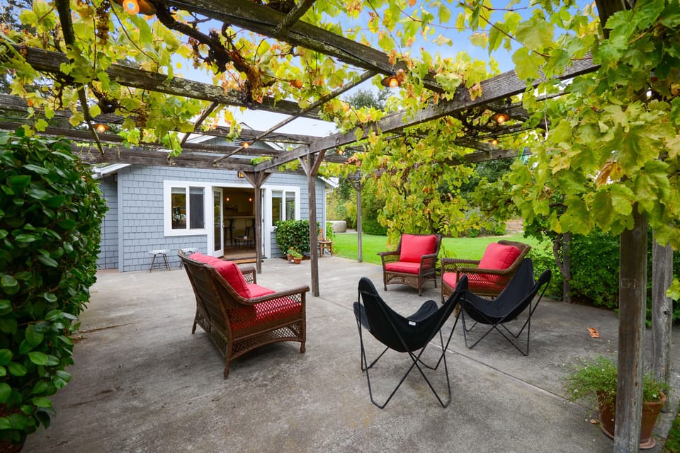 Grape arbor patio