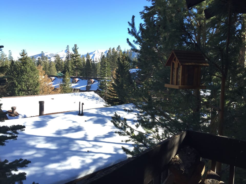 View from balcony