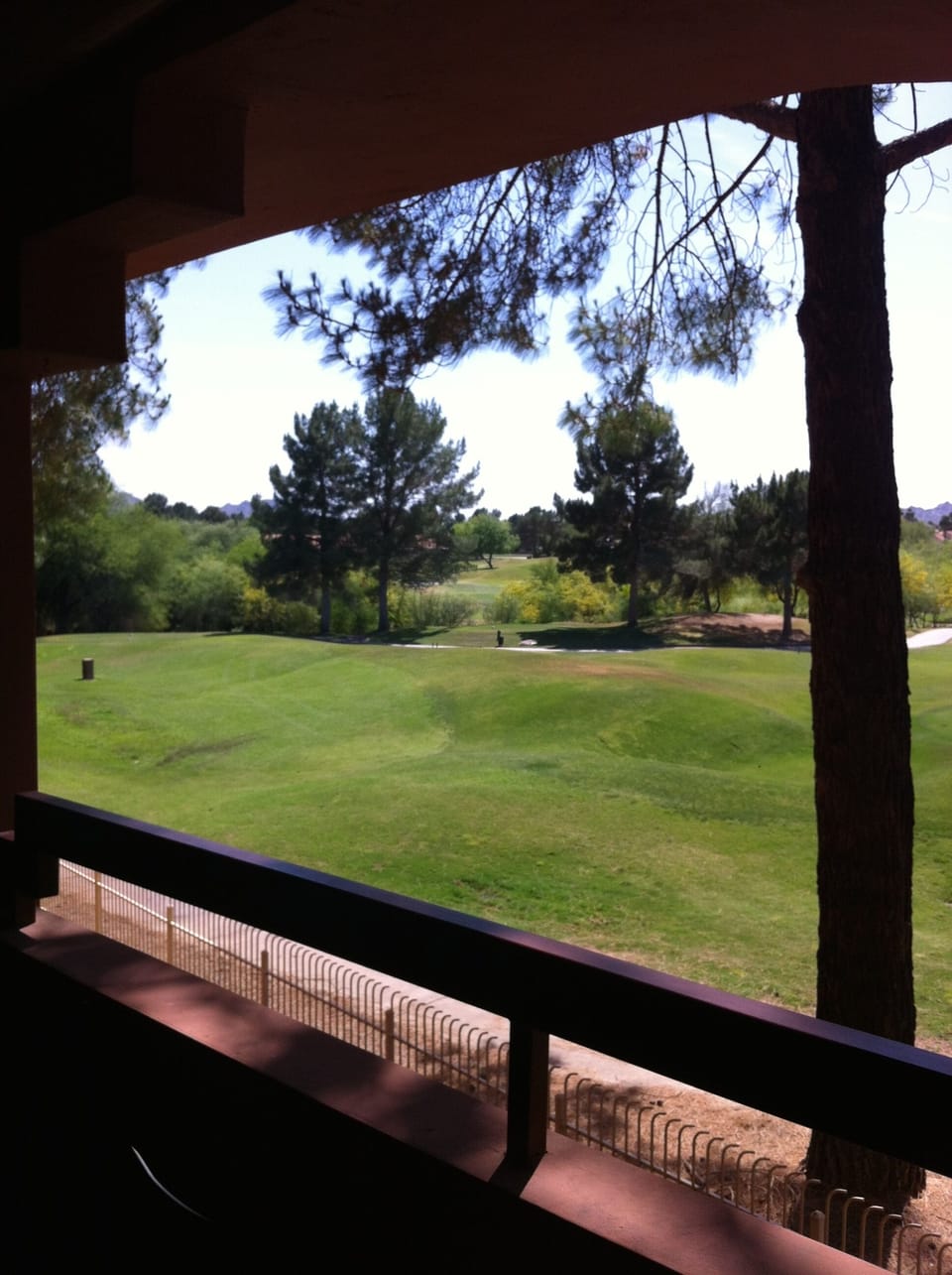 Stone Creek Golf Course #8