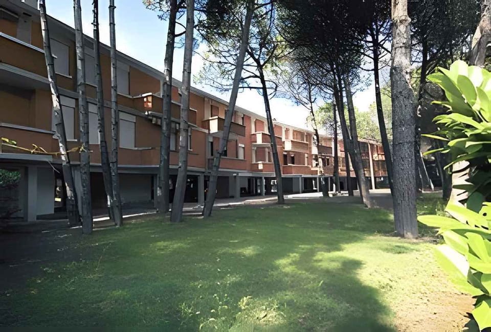 external view