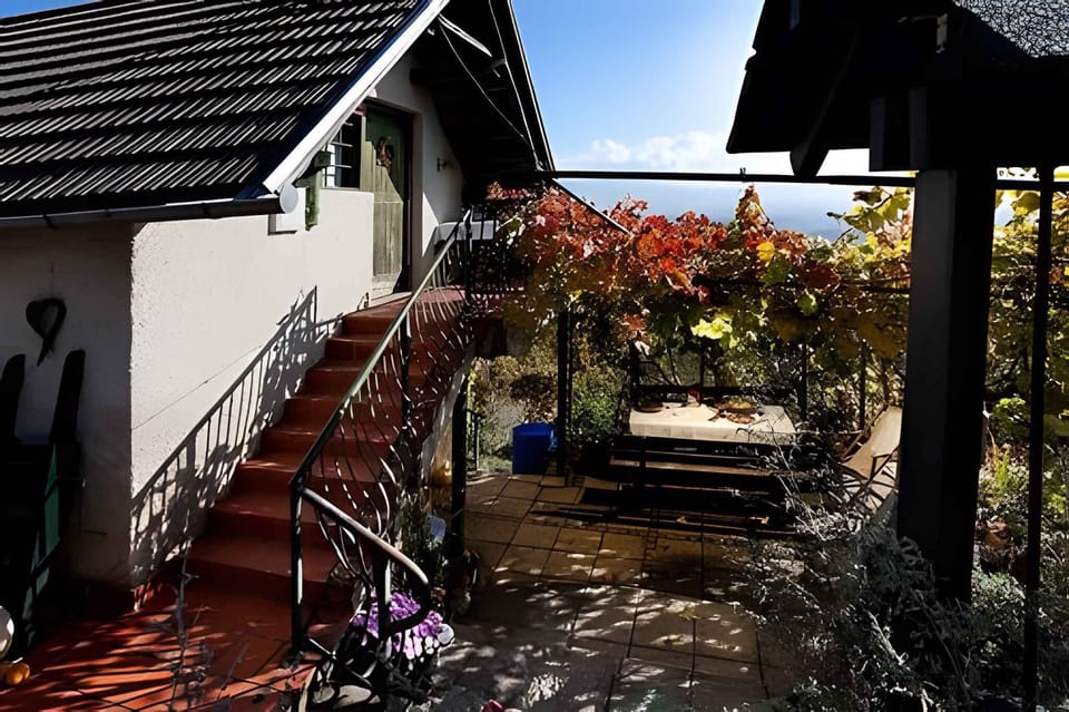 external view