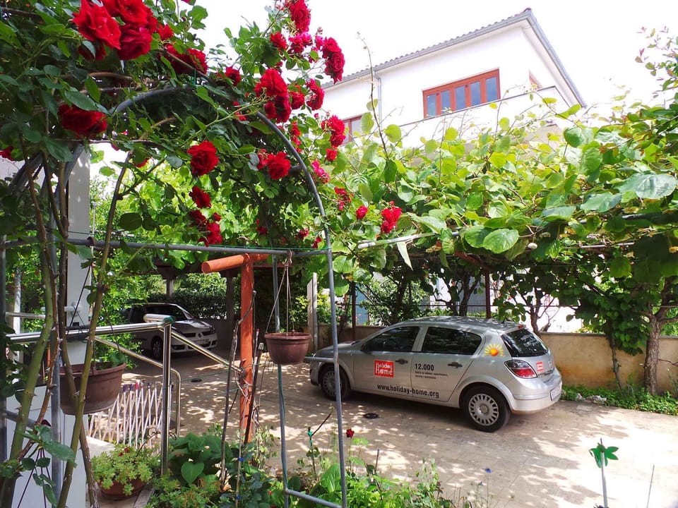 external view