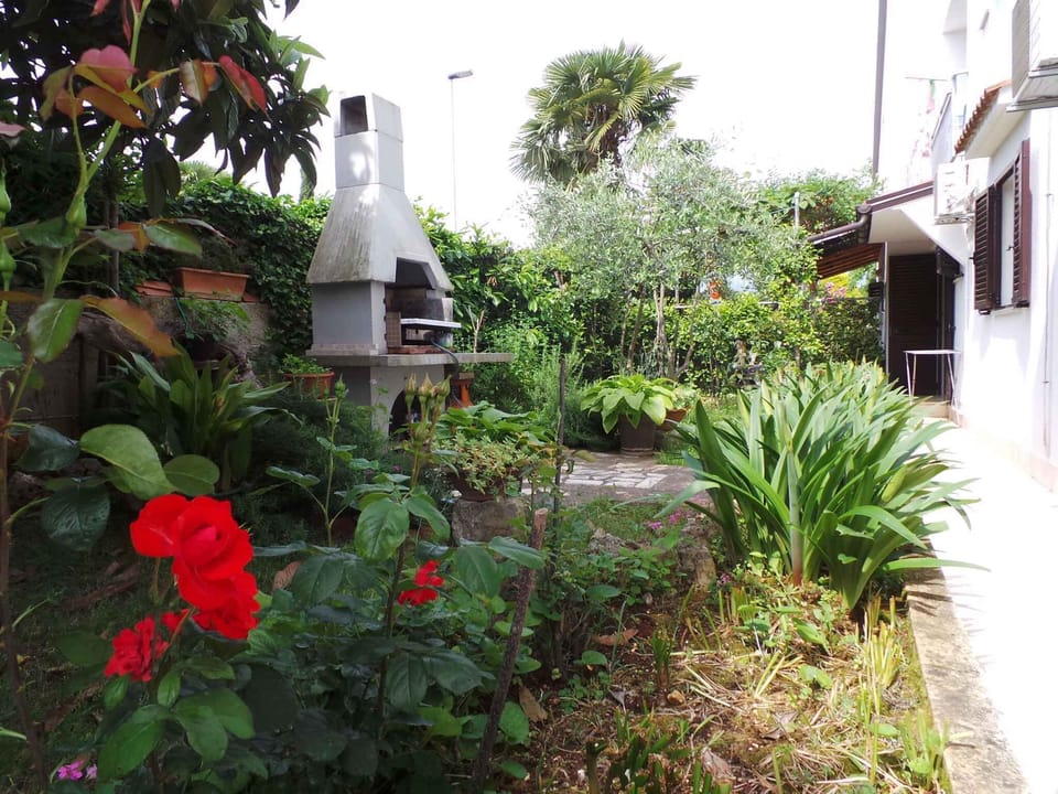 garden
