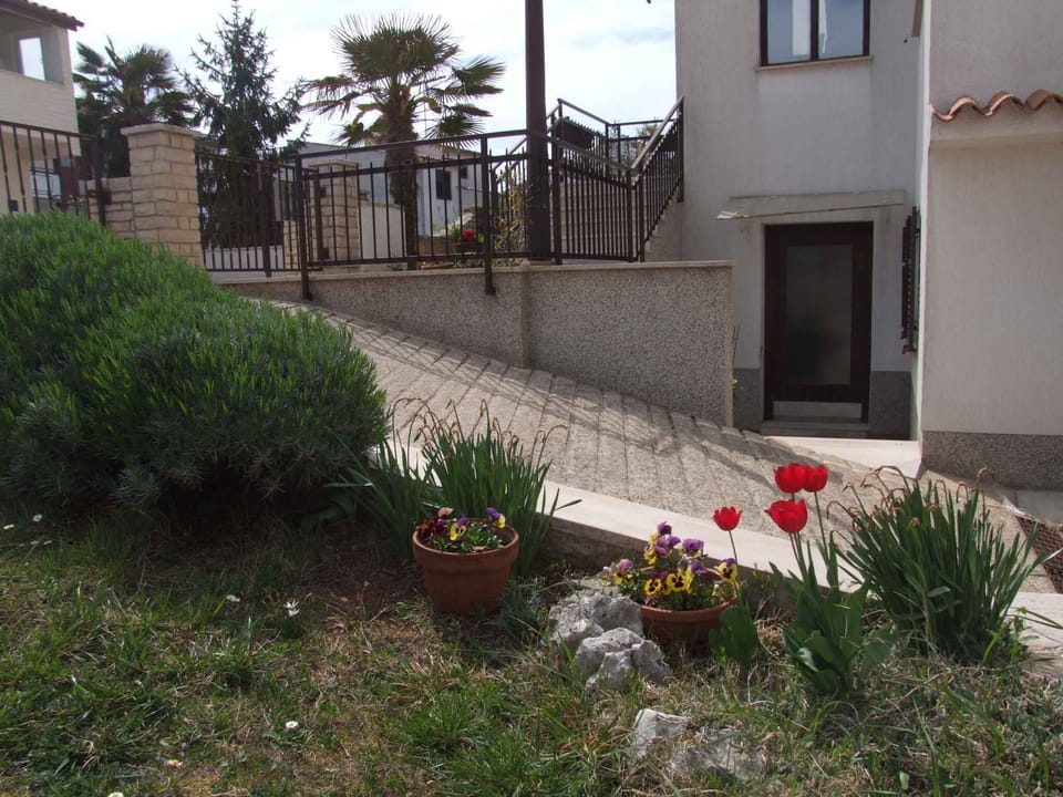external view