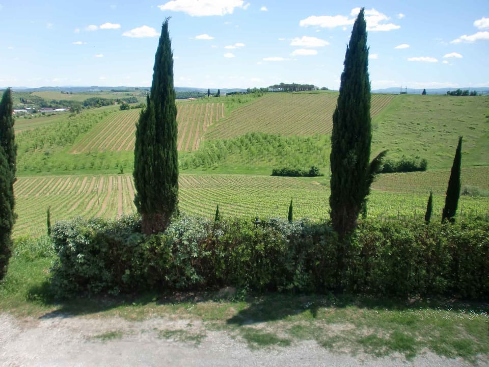 external view