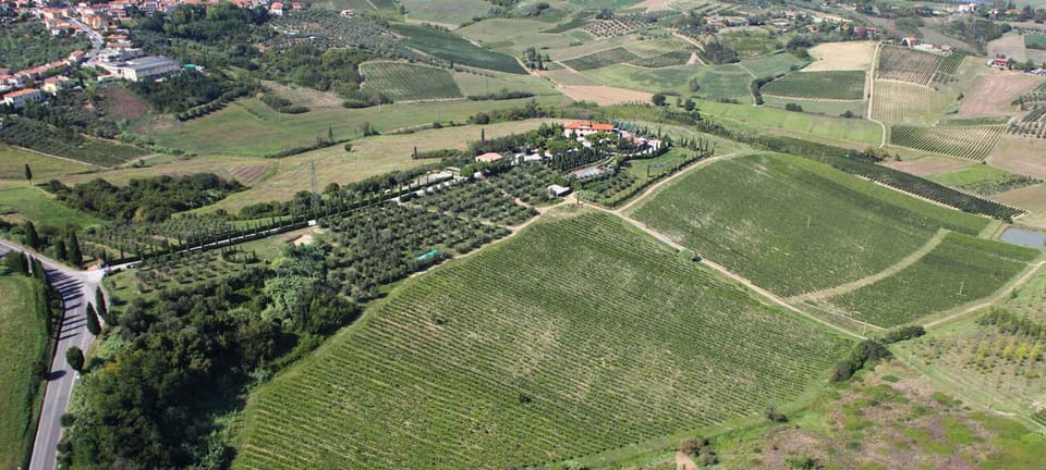 external view