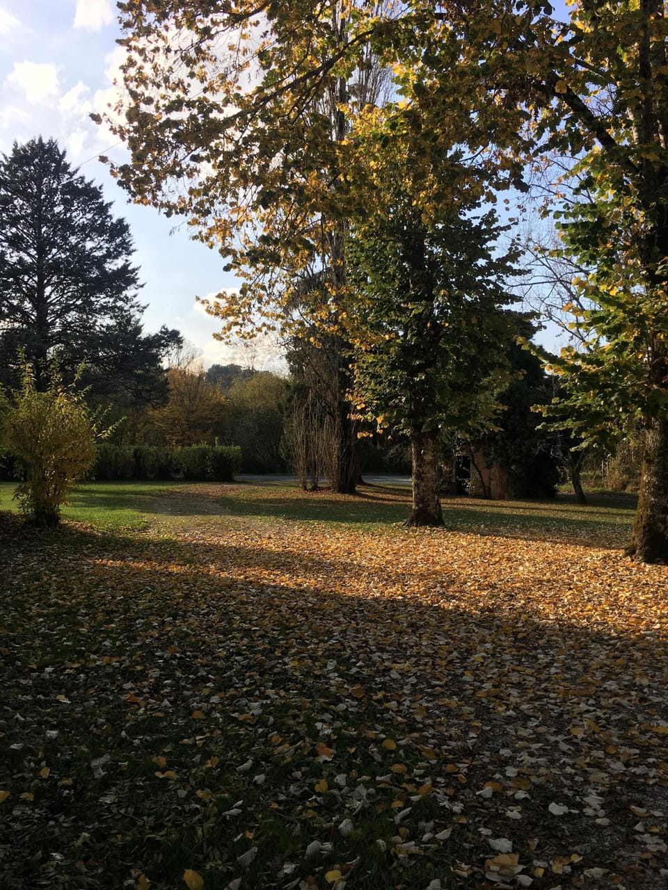 Property grounds