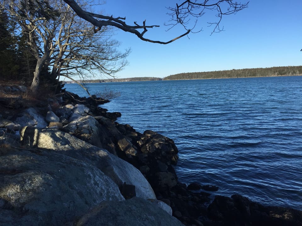 Water front suitable for relaxing and fishing