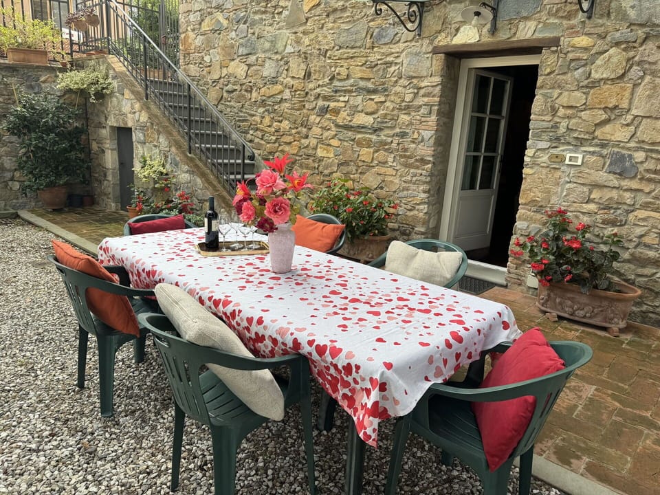 Flower, Table, Plant, Furniture, Property, Window, Leaf, Flowerpot, Chair, Tablecloth