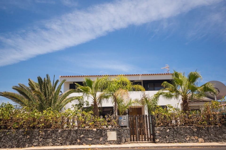 Quiet villa surrounded by palm trees