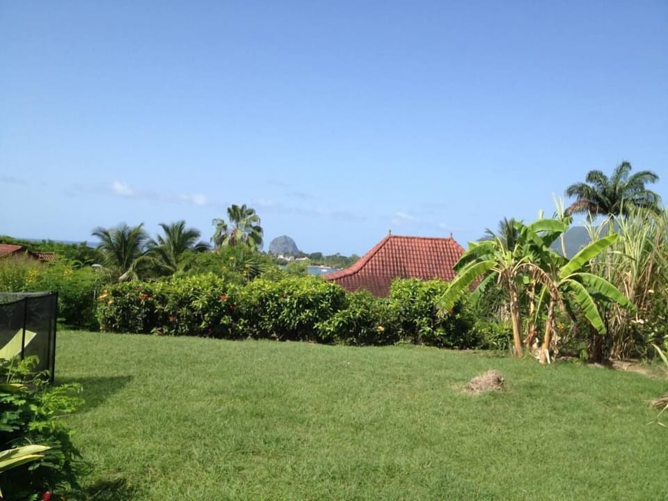 Garden, Park