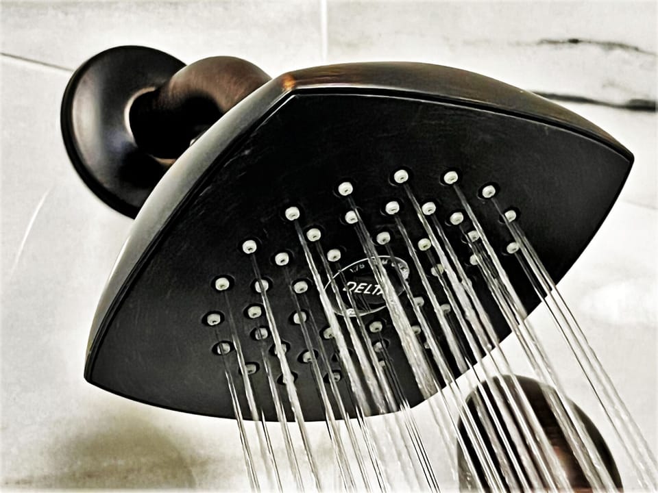 Master shower