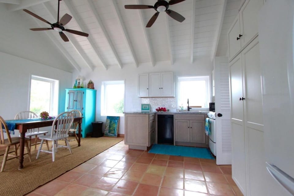 Kitchen and Dining Room 