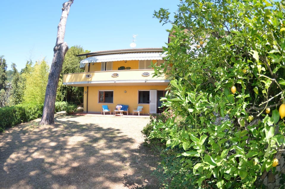 Building Exterior, Garden, Outdoor
