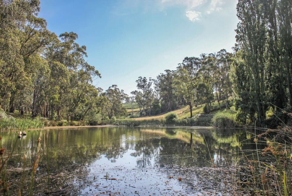 Wandin Yallock Creek